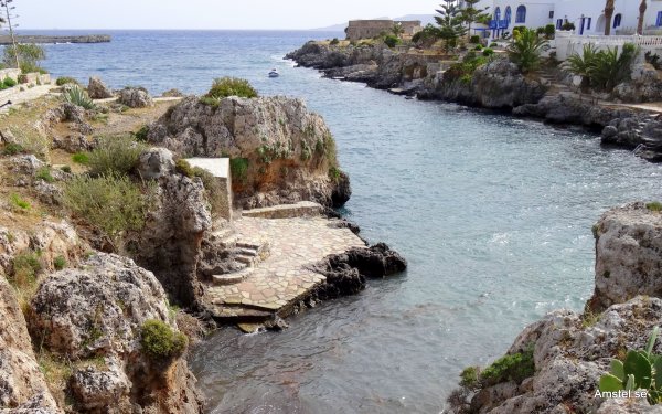 1616-33.JPG 1616-33.JPG