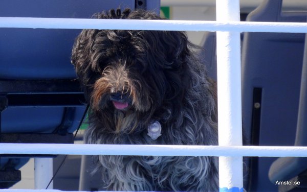 1617-02.JPG 1617-02.JPG