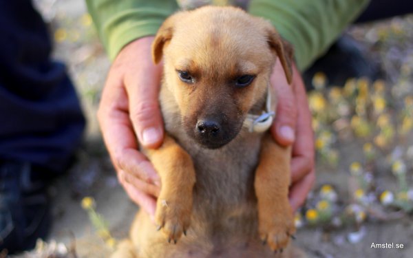 1617-04.JPG 1617-04.JPG