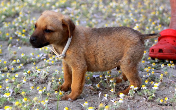 1617-05.JPG 1617-05.JPG