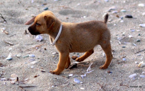 1617-06.JPG 1617-06.JPG