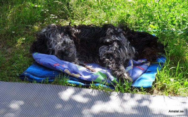 1617-07.JPG 1617-07.JPG