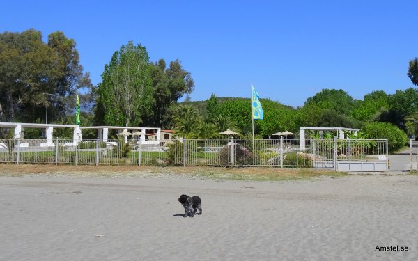 1617-10.JPG 1617-10.JPG