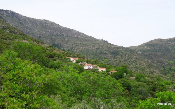 1617-11.JPG 1617-11.JPG