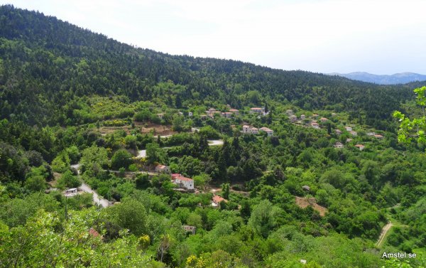 1617-14.JPG 1617-14.JPG