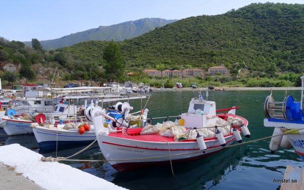 1617-17.JPG 1617-17.JPG