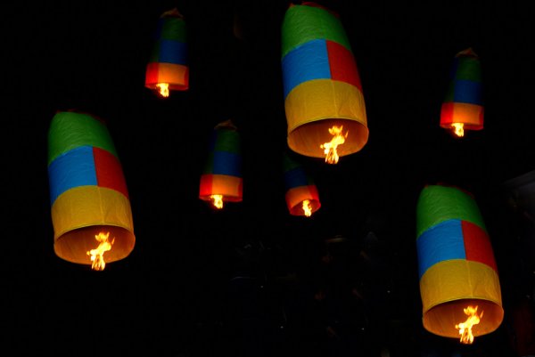 1617-29.jpg 1617-29.jpg