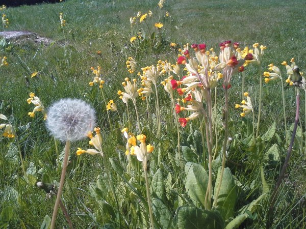 20160509_115014.jpg
