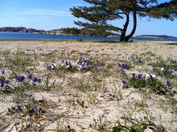 2016-05-09 14.38.53.jpg