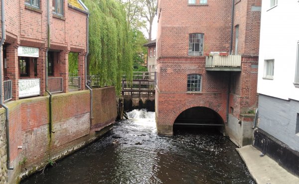 2016-05-18 14.00.45.jpg 2016-05-18 14.00.45.jpg