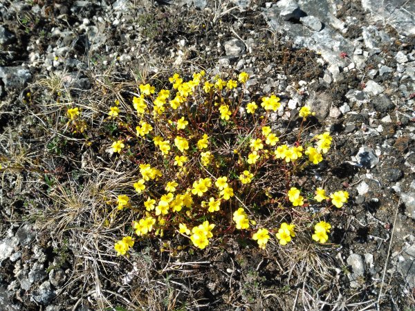 2016-05-24 15.20.08.jpg 2016-05-24 15.20.08.jpg