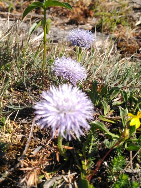 2016-05-24 15.22.49.jpg 2016-05-24 15.22.49.jpg