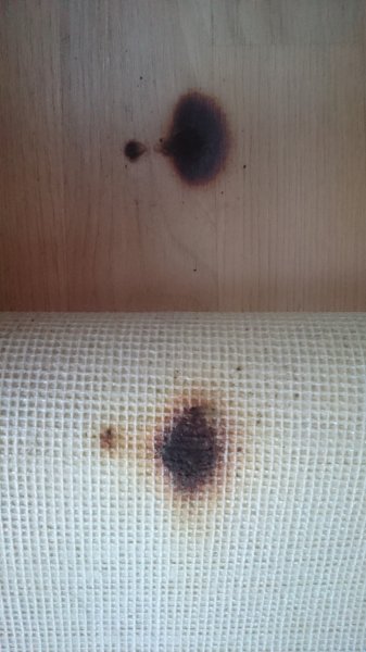 DSC_0020.JPG DSC_0020.JPG