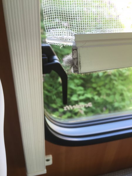 2016-06-12 13.32.19.jpg