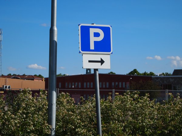 P6156528.JPG P6156528.JPG