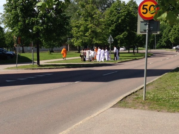 IMG_2201.JPG IMG_2201.JPG