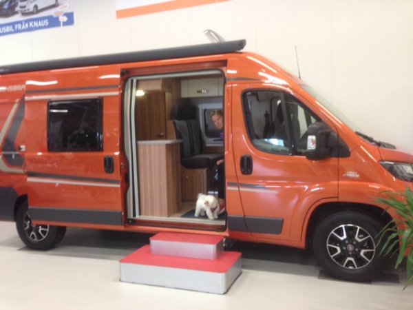 IMG_1910.JPG IMG_1910.JPG