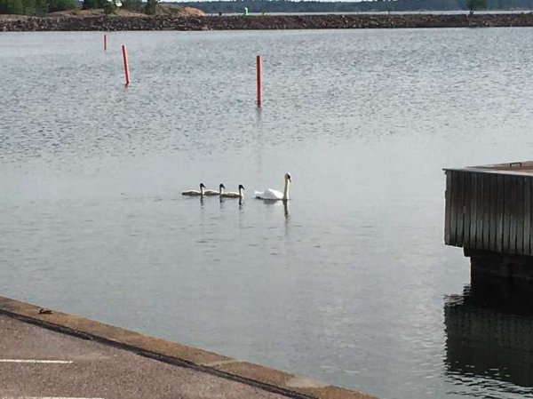 IMG_0245.jpg IMG_0245.jpg