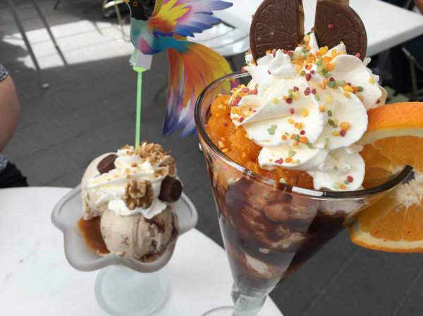 IMG_0260.jpg IMG_0260.jpg