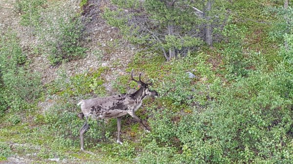 2016-06-30 16.47.35.jpg 2016-06-30 16.47.35.jpg