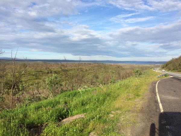 2016-06-30 18.42.51.jpg 2016-06-30 18.42.51.jpg