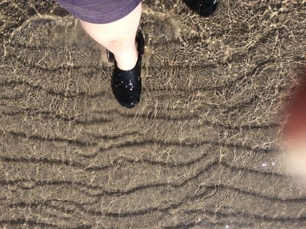 2016-07-01 10.12.02.jpg 2016-07-01 10.12.02.jpg