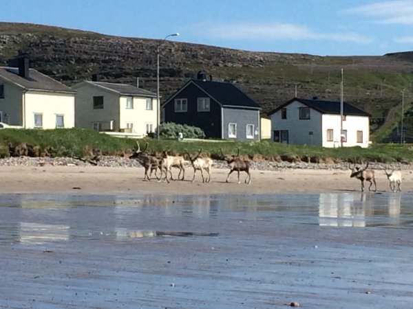 2016-07-01 10.14.18.jpg 2016-07-01 10.14.18.jpg