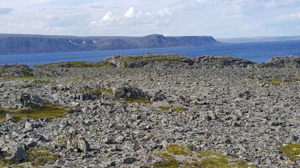 2016-07-01 12.38.16.jpg 2016-07-01 12.38.16.jpg