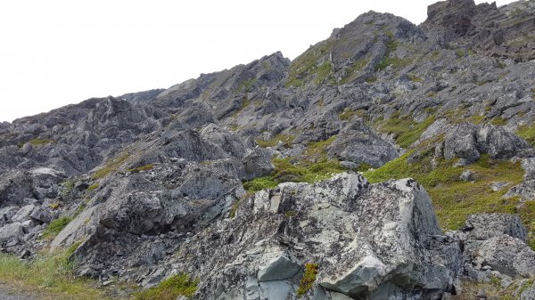 2016-07-01 13.22.18.jpg 2016-07-01 13.22.18.jpg