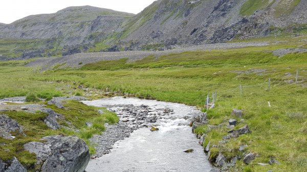 2016-07-01 13.42.52-1.jpg 2016-07-01 13.42.52-1.jpg