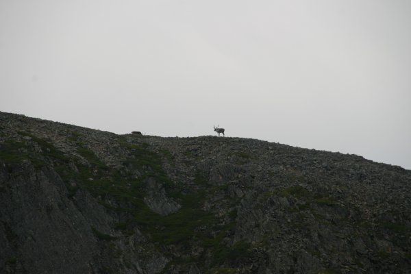 IMG_6109.JPG IMG_6109.JPG