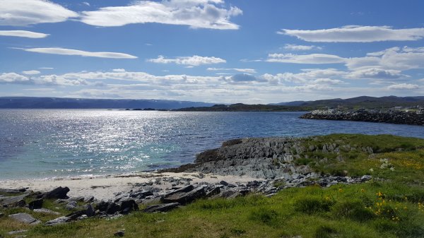 2016-07-02 11.51.18.jpg 2016-07-02 11.51.18.jpg