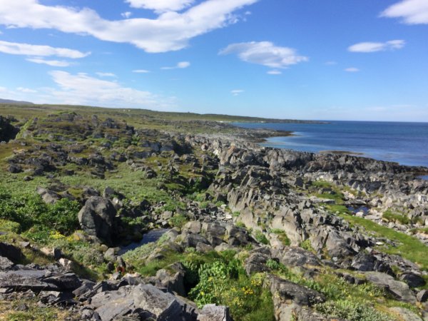 2016-07-02 12.52.26.jpg 2016-07-02 12.52.26.jpg