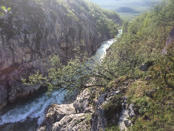 2016-07-02 16.35.07.jpg 2016-07-02 16.35.07.jpg