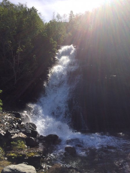 2016-07-04 10.40.58-1.jpg 2016-07-04 10.40.58-1.jpg