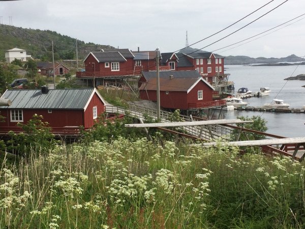 2016-07-05 11.27.39.jpg 2016-07-05 11.27.39.jpg