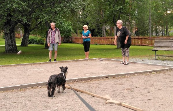 IMG_20160719_202902.jpg IMG_20160719_202902.jpg