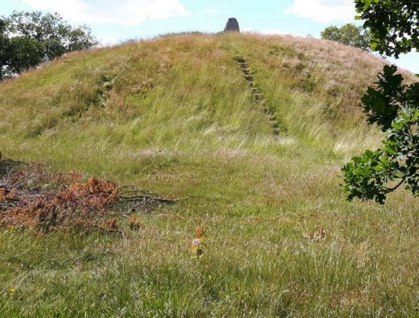 2016-07-28_På spåret.jpg