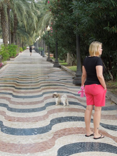 DSCN2908.JPG DSCN2908.JPG