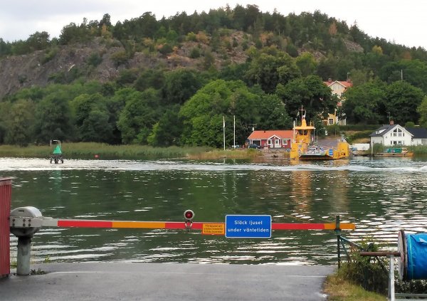 IMG_20160730_110811.jpg IMG_20160730_110811.jpg