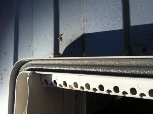 IMG_3960.jpg IMG_3960.jpg