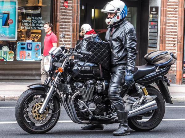 knutte med hund 1.png