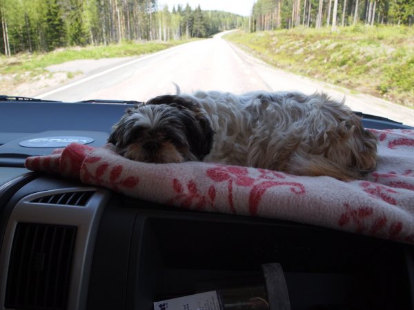 P5250608.JPG P5250608.JPG