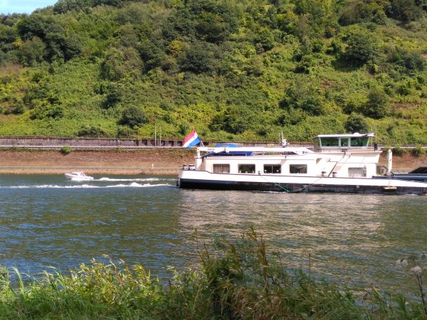 IMG_20160813_145759.jpg IMG_20160813_145759.jpg