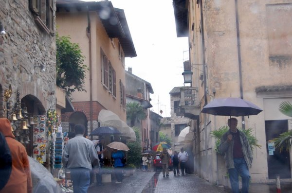 DSC_00160009.JPG DSC_00160009.JPG