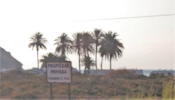 IMG_20160821_090542.jpg IMG_20160821_090542.jpg