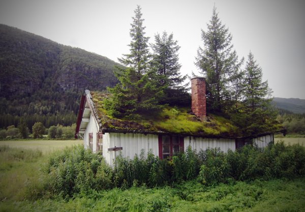 Hustak-Norge.jpg Hustak-Norge.jpg