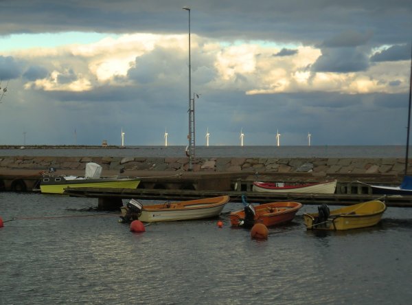 Öland-Rugen sept 2013 075 (2).jpg