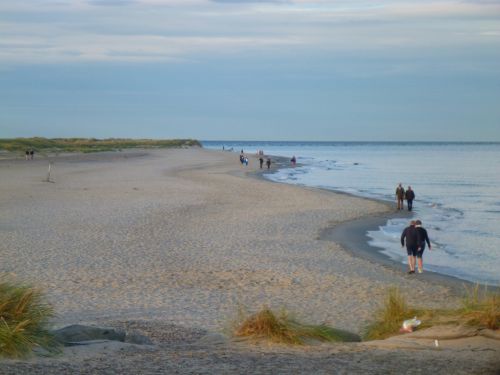 Avstickare_17.jpg Avstickare_17.jpg