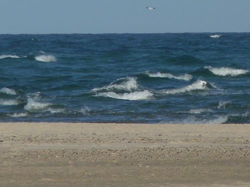 Avstickare_21.jpg Avstickare_21.jpg